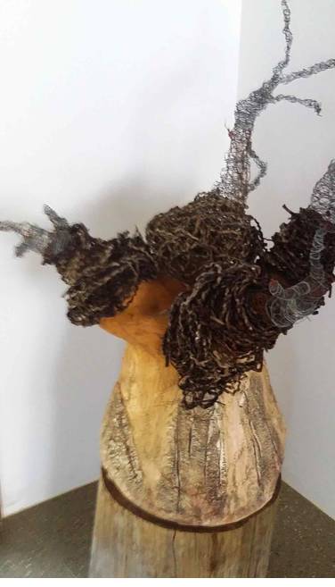 Caldera Wildscapes Gallery - Accommodation Mt Buller 0