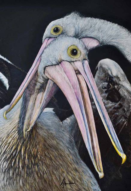 Caldera Wildscapes Gallery - Accommodation Mt Buller 1