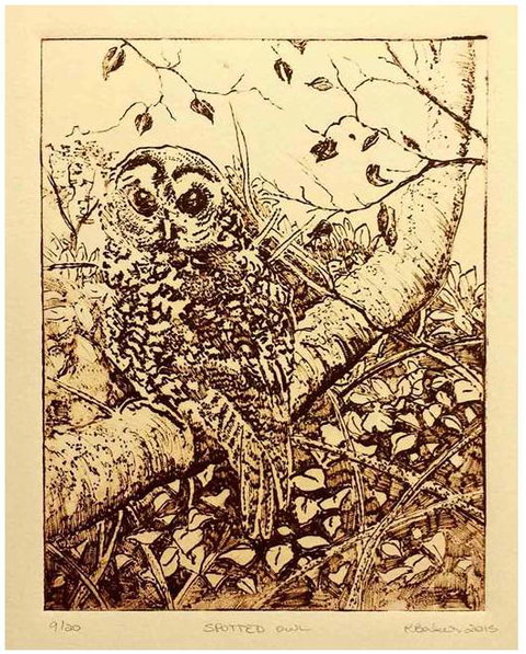 Caldera Wildscapes Gallery - Accommodation Mt Buller 3