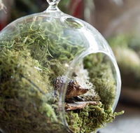 Moxom and Whitney - Accommodation Mt Buller