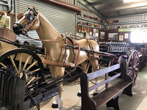 Yamba Tours And Charters - Accommodation Mt Buller 9