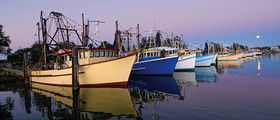 Yamba Tours And Charters - Accommodation Mt Buller 14