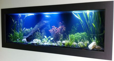 Aquariums In Cairns - Accommodation Mt Buller 0