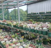 Summerland Aquarium - Accommodation Mt Buller