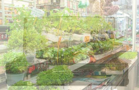 Dapto Markets - Accommodation Mt Buller 2