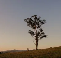 Faulls Ridge Winery - Accommodation Mt Buller