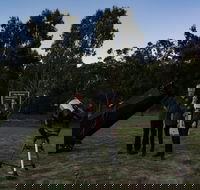 Stargazing Busselton with Mobile Observatory - Accommodation Mt Buller