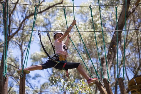 Busselton High Ropes And Zipline Adventure - Accommodation Mt Buller 1