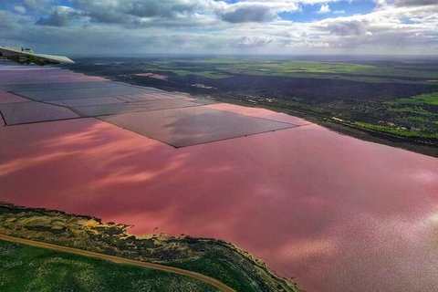 Kalbarri, Pink Lake And Abrolhos Islands Nature Tour - Accommodation Mt buller 3