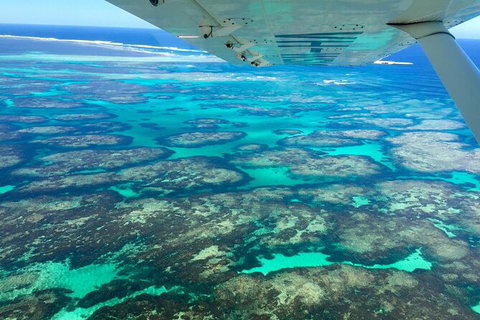 Kalbarri, Pink Lake And Abrolhos Islands Nature Tour - Accommodation Mt buller 5