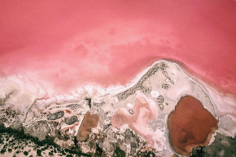 Kalbarri, Pink Lake And Abrolhos Islands Nature Tour - Accommodation Mt buller 6