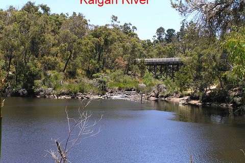 Kalgan Queen Scenic Cruises A Four Hour Sheltered Water Wildlife Tour Daily Fun. - Accommodation Mt buller 3