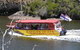Kalgan Queen Scenic Cruises A Four Hour Sheltered Water Wildlife Tour Daily Fun. - thumb 2