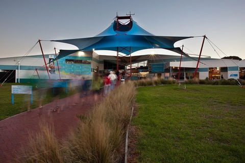 Express Expedition To Phillip Island Penguin Wildlife Encounter Evening Tour - Accommodation Mt Buller 1