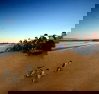 Phillip Island Ultimate Penguin Eco Tour or Skybox Experience - Accommodation Mt Buller