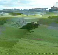 Day Tour of Phillip Island  Surrounding Region - Accommodation Mt Buller