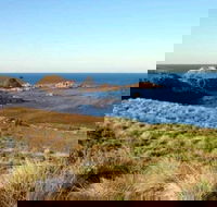 Phillip Island Walking  Bird Watching Tour - Accommodation Mt Buller