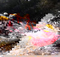 Whitewater Sports rafting on the Yarra river - Accommodation Mt Buller