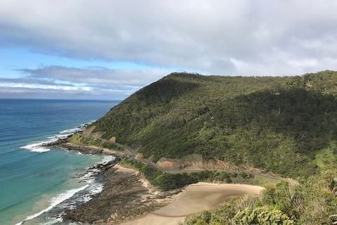 The Great Ocean Road Tour - One Day - Accommodation Mt Buller 1