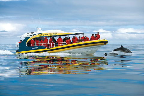 3-Hour Tasman Peninsula Wilderness Cruise From Port Arthur - Accommodation Mt Buller 5