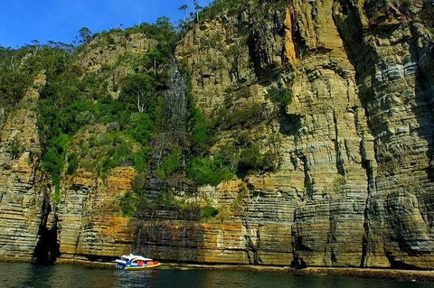 3-Hour Tasman Peninsula Wilderness Cruise From Port Arthur - Accommodation Mt Buller 7