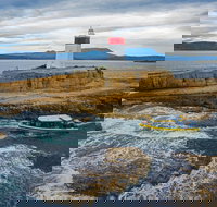 Hobart Sightseeing Cruise including Iron Pot Lighthouse