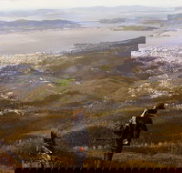 Mt Wellington Half Day Guided Summit Hike