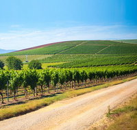 Full Day Tamar Valley Wine Tour - Accommodation Mt Buller