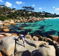 4-Day Tasmania East Coast Adventure from Launceston to Hobart Including Bay of Fires Wineglass Bay Bruny Island and Port Arthu - Accommodation Mt Buller