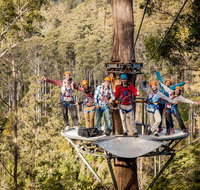 Hollybank Wilderness Adventure - Zipline Tours - Accommodation Mt Buller