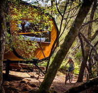 Blue Derby Pods Ride Experience 3-Day Mountain Bike Adventure in Exclusive Pods - Accommodation Mt Buller