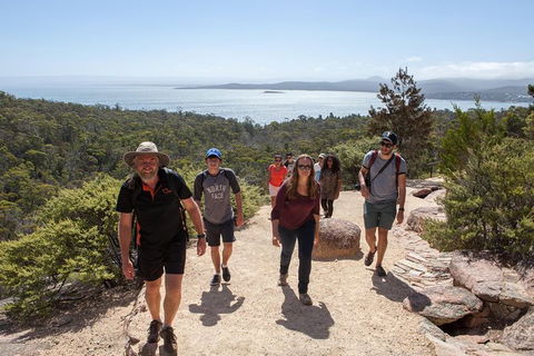 Active Day Tour One-Way From Hobart To Launceston With Wineglass Bay - Accommodation Mt Buller 3