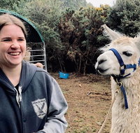 Farm Visit - Accommodation Mt Buller
