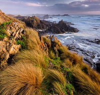 4-Day Tarkine Wilderness Photography Workshop - Accommodation Mt Buller