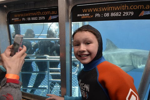 White Shark Tour With Optional Cage Dive From Port Lincoln - Accommodation Mt Buller 8