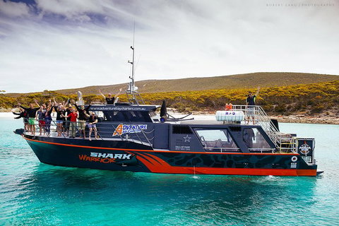 White Shark Tour With Optional Cage Dive From Port Lincoln - Accommodation Mt Buller 7