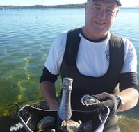 Coffin Bay Oyster Farm  Tasting Tour - Accommodation Mt Buller