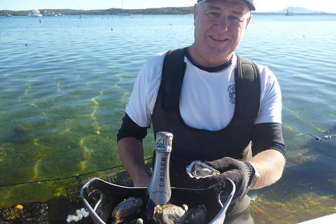 Coffin Bay Oyster Farm & Tasting Tour - Accommodation Mt Buller 0