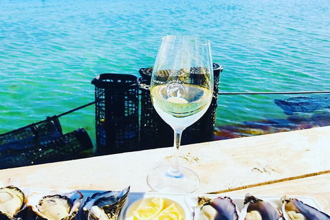 Coffin Bay Oyster Farm & Tasting Tour - Accommodation Mt Buller 11