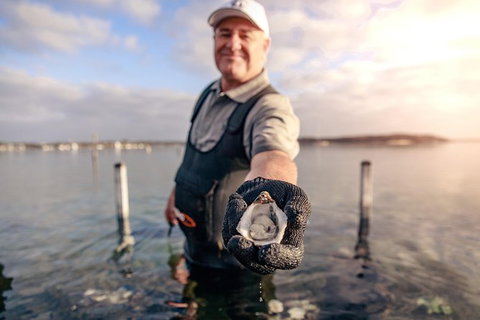 Coffin Bay Oyster Farm & Tasting Tour - Accommodation Mt Buller 3