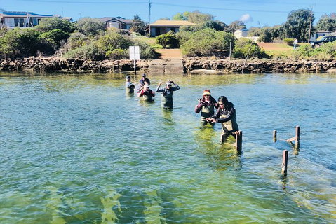 Coffin Bay Oyster Farm & Tasting Tour - Accommodation Mt Buller 6