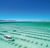 Coffin Bay Private Day Tour from Port Lincoln - A Taste of Coffin Bay - Accommodation Mt Buller