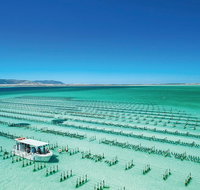 Coffin Bay Day Tour - A Taste of Coffin Bay - Accommodation Mt Buller