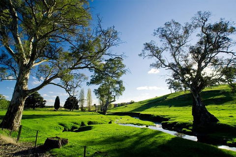 Adelaide Highlights And Hahndorf Tour With Optional River Cruise - Accommodation Mt Buller 0