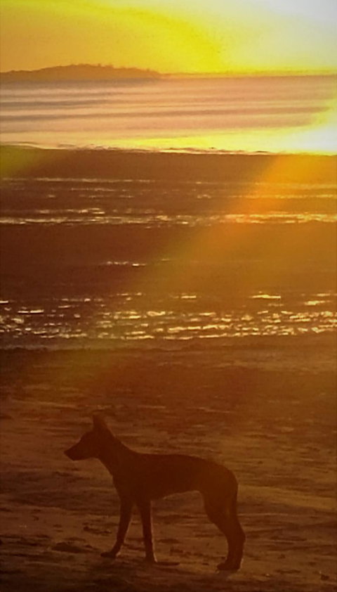 3-Day Fraser Island Resort Package - Accommodation Mt Buller 3