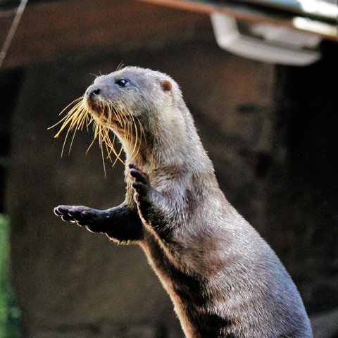 3-Day Fraser Island Resort Package - Accommodation Mt Buller 4