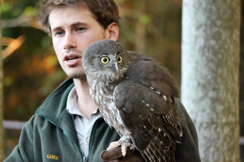 3-Day Fraser Island Resort Package - Accommodation Mt Buller 5