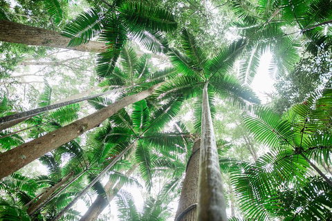 All-Inclusive 2-Day Fraser Island Tour - Accommodation Mt Buller 8