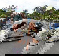 Small-Group Australia Zoo Day Trip from Brisbane - Accommodation Mt Buller