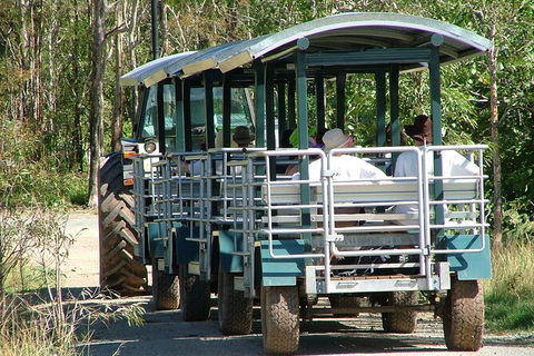 Whitsunday Crocodile Safari Including Lunch - Accommodation Mt Buller 6